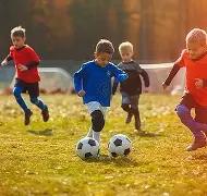 曼城将斥资,万欧元抢购,雷恩边锋杰,乐鱼体育,乐鱼体育官网,乐鱼体育H5官网